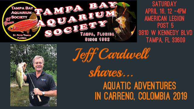 Tampa Bay Aquarium Society's April Meeting