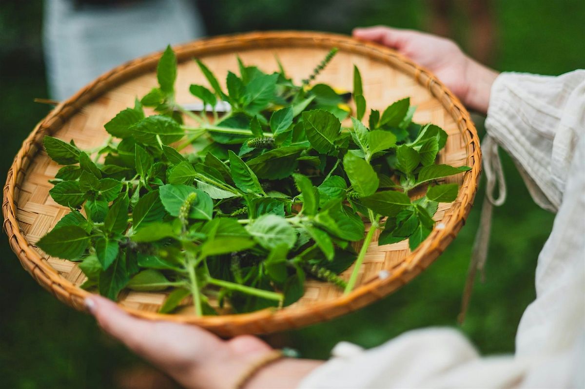 Herbal Tea Blending Workshop with Eclipta Herbal