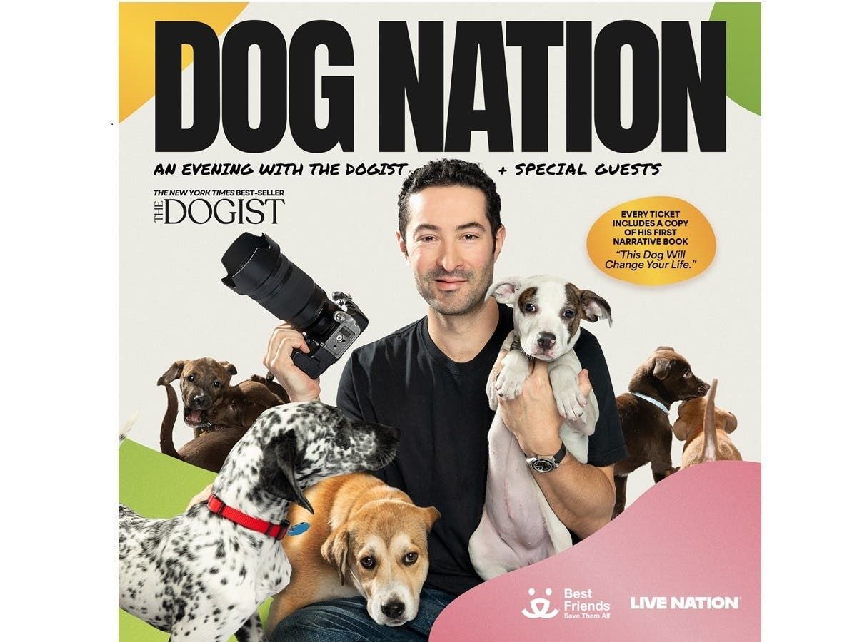 The Dogist Live
