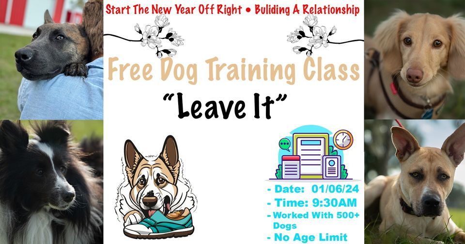 Leave It (Dog Training Class) Elite K9 Service, Plant City, FL