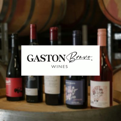 Gaston Bravo Wines