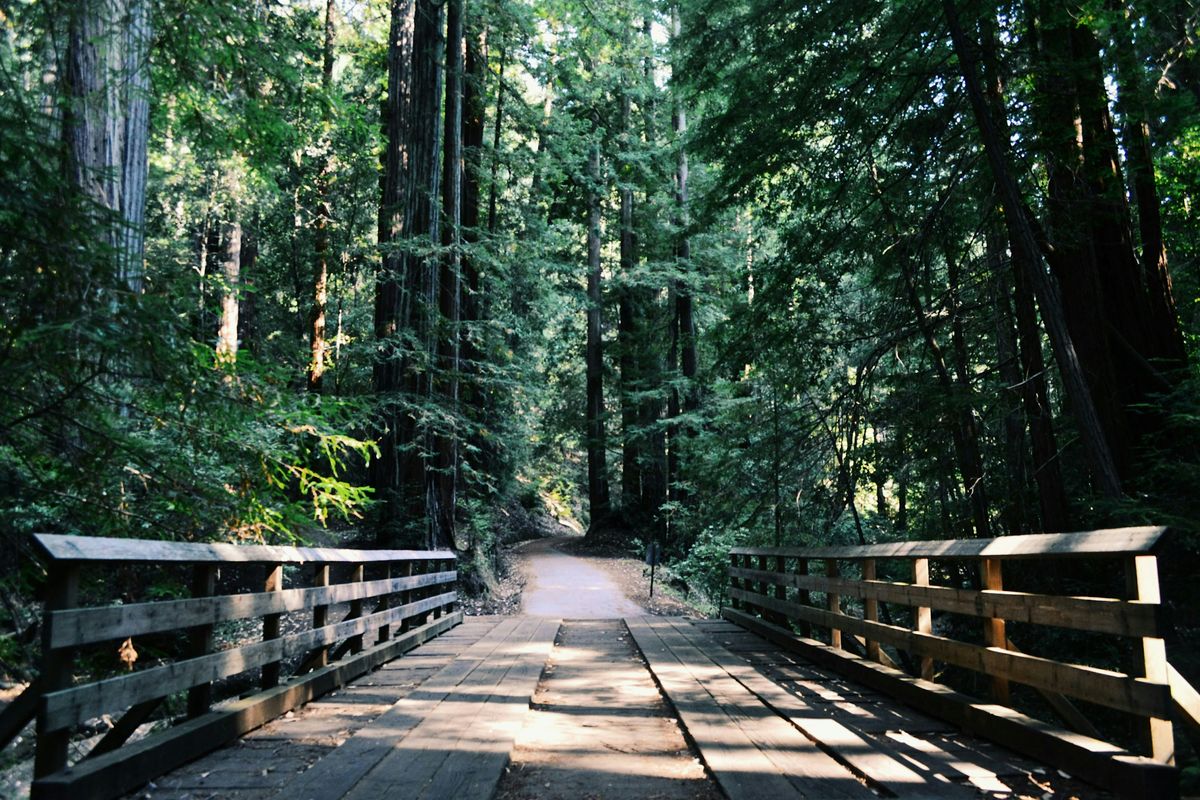 Capilano Canyon Hike