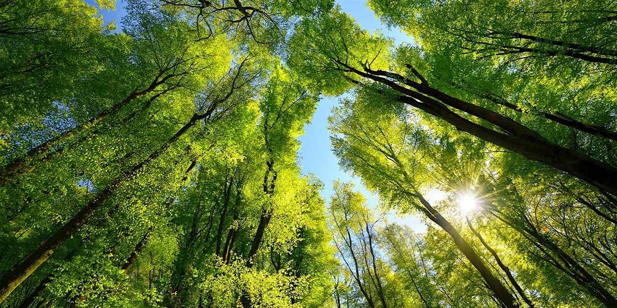 San Diego Urban Forestry Workshop and Roundtable