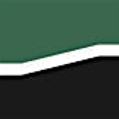 Fleishel Financial Associates
