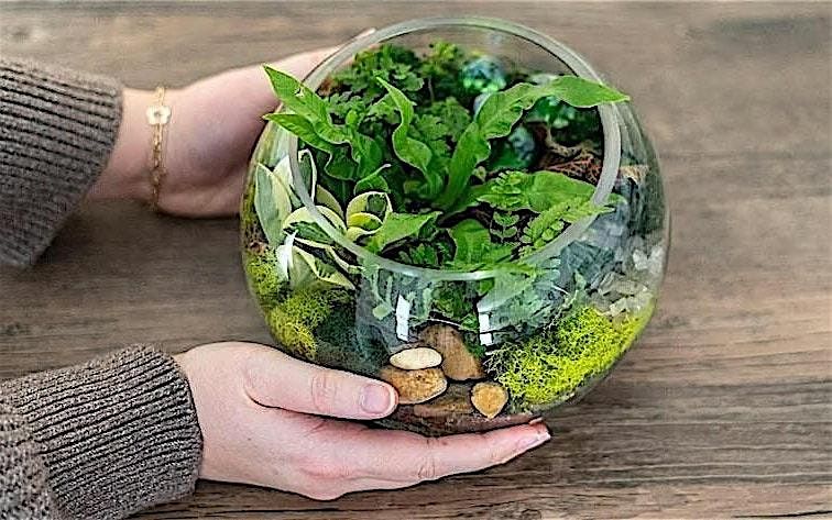 Make-n-Take : Terrariums at Mahoney's Brighton