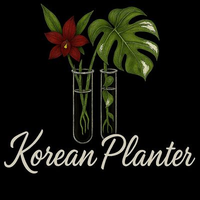 Korean Planter
