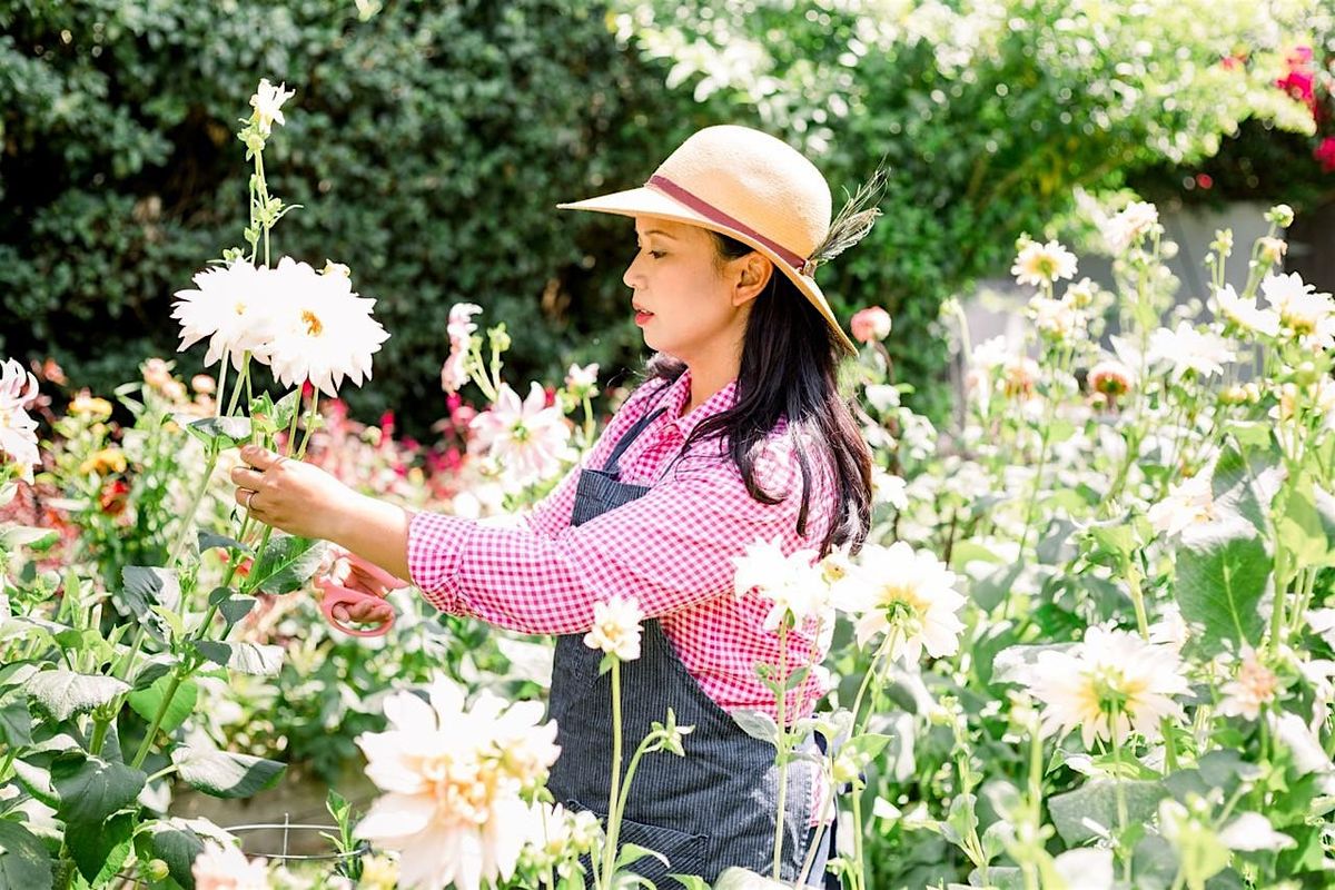 How to Grow Dahlias in Central Florida