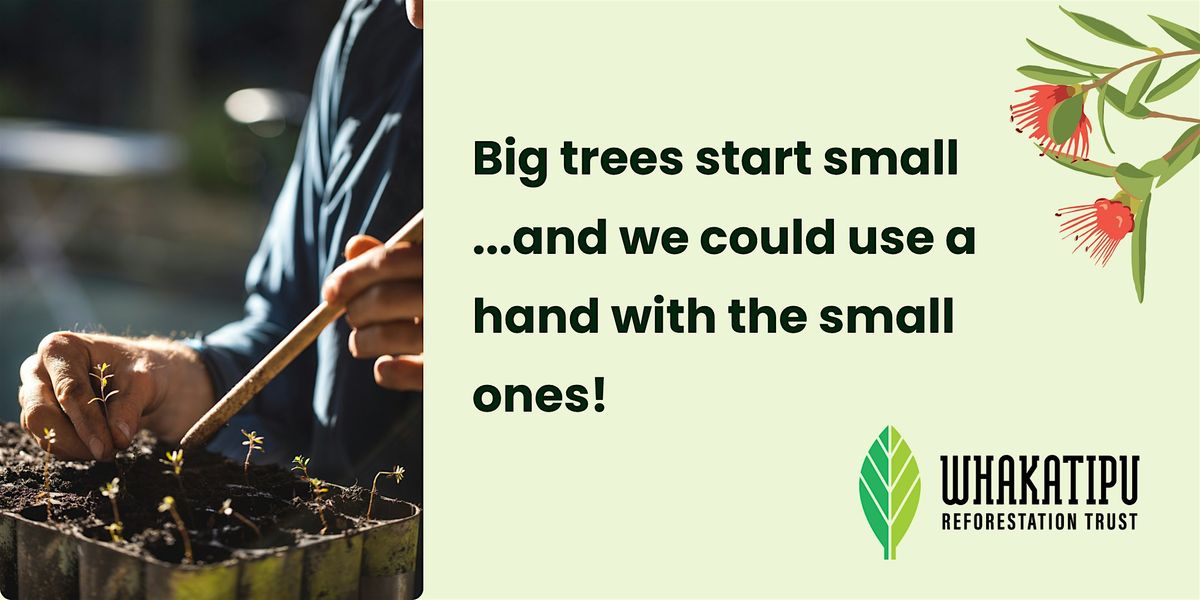 Community Nursery - evening volunteer sessions