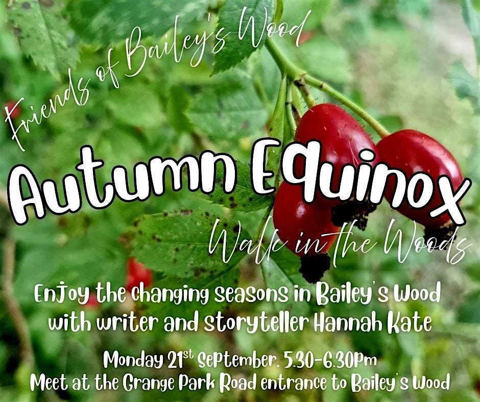 Autumn Equinox Walk in the Woods
