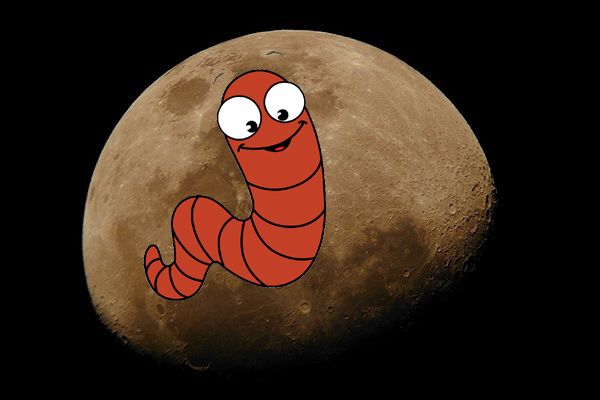 Bike 10:15pm Tue Mar 26 To Midnight Full Moon Ride - WORM Moon at Java ...