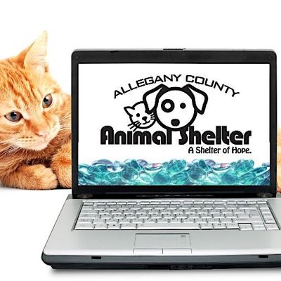 Allegany County Animal Shelter