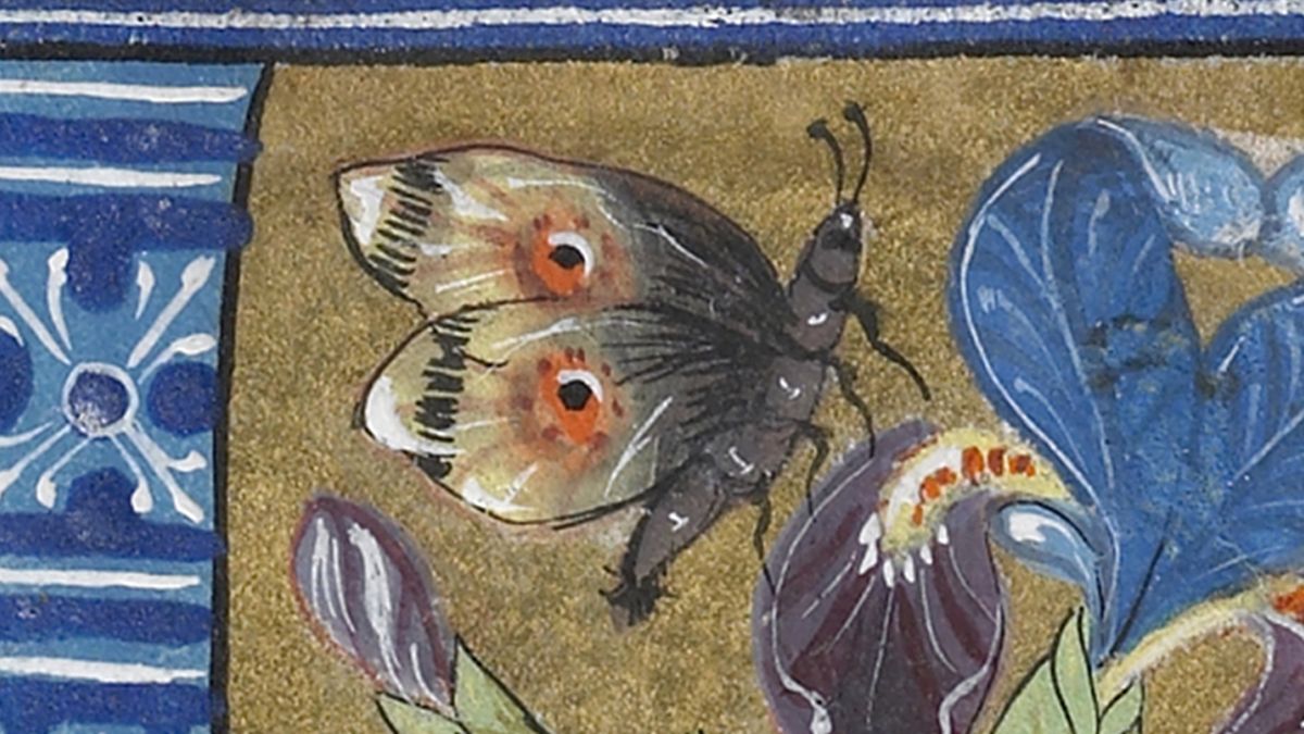 The Walters