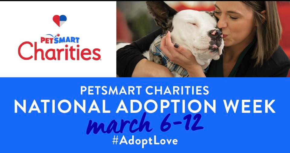 March 2023 National Adoption Weekend 215 N Burkhardt Rd, Evansville