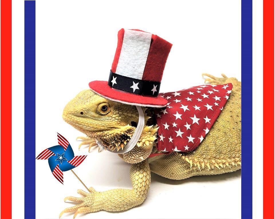 Four State Reptile & More Expo