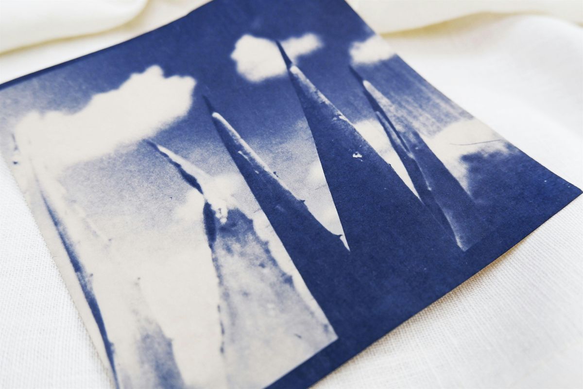 Workshop Cyanotype