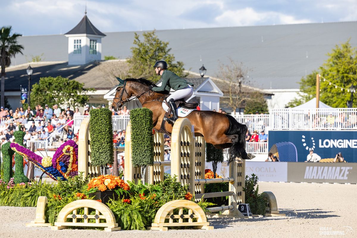 Mad Barn Big Ben International Challenge
