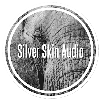 Silver Skin Audio