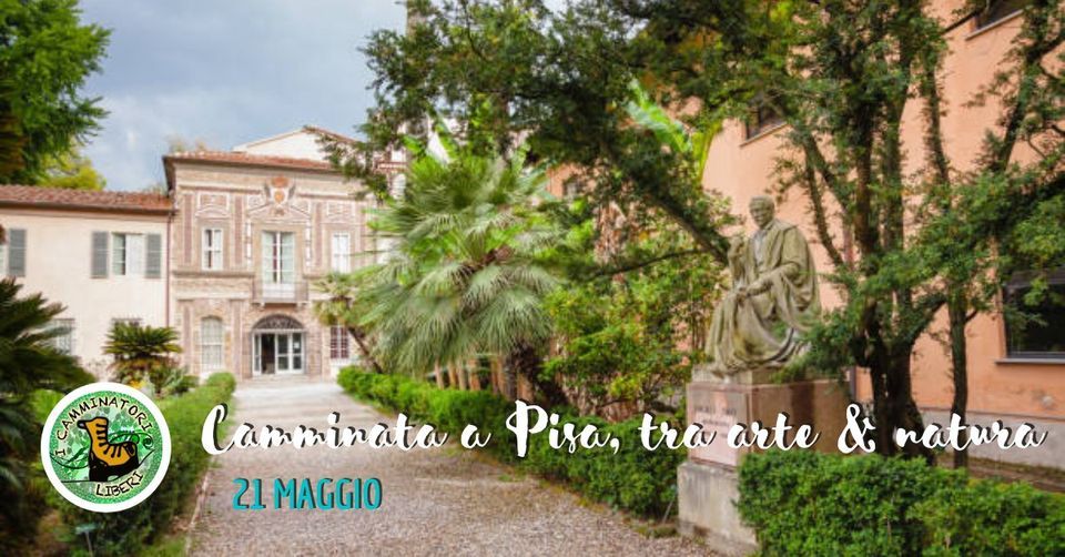 Camminata a Pisa, tra arte e Natura at Orto e Museo Botanico di Pisa ...