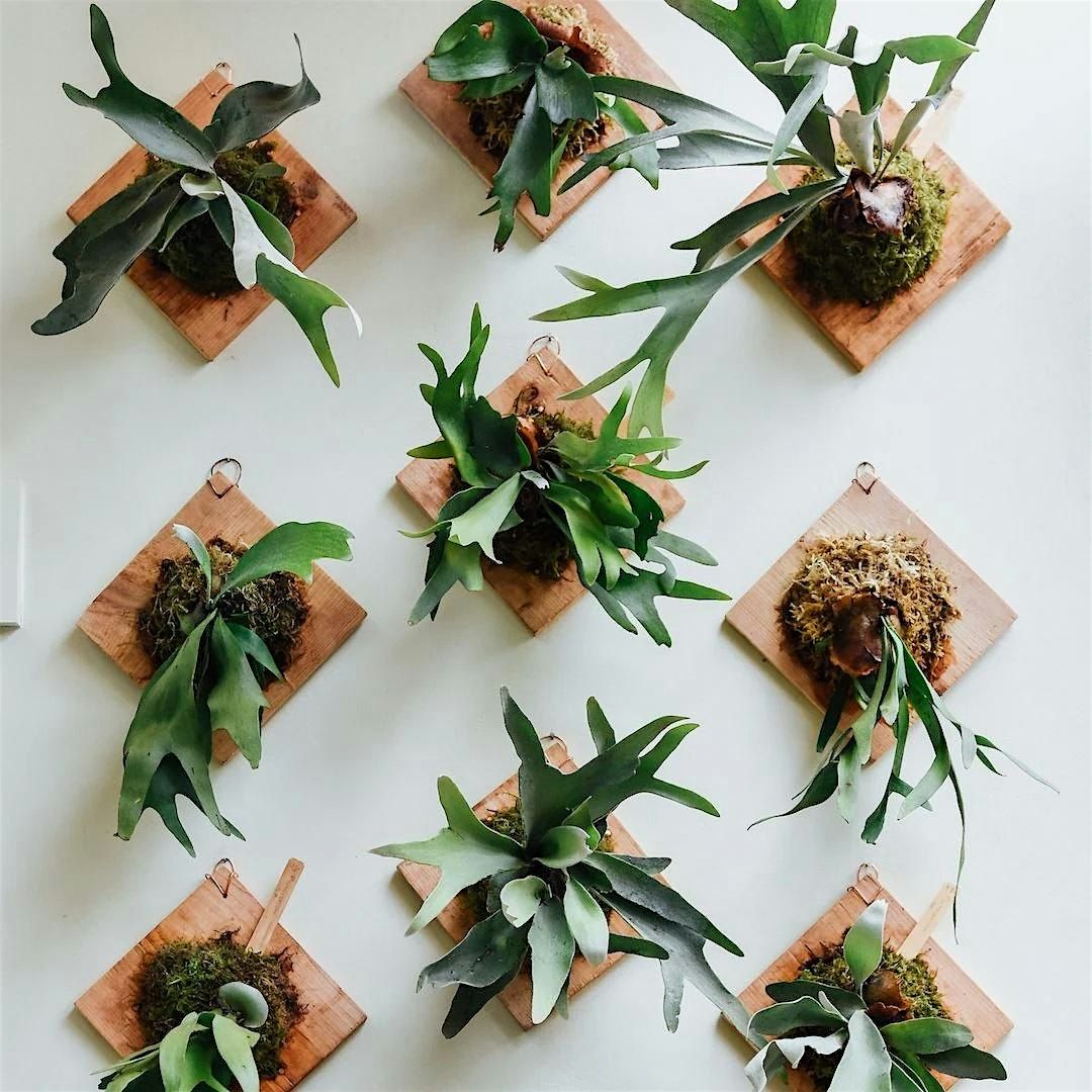 Plant Mounting Workshop