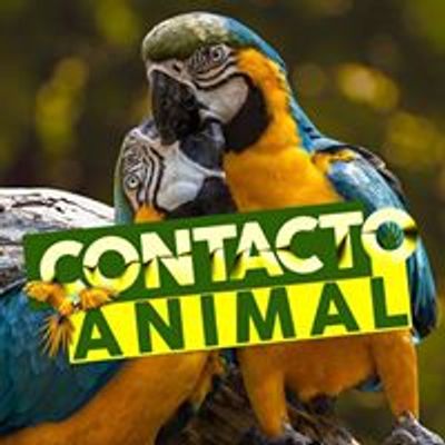 Contacto Animal USA