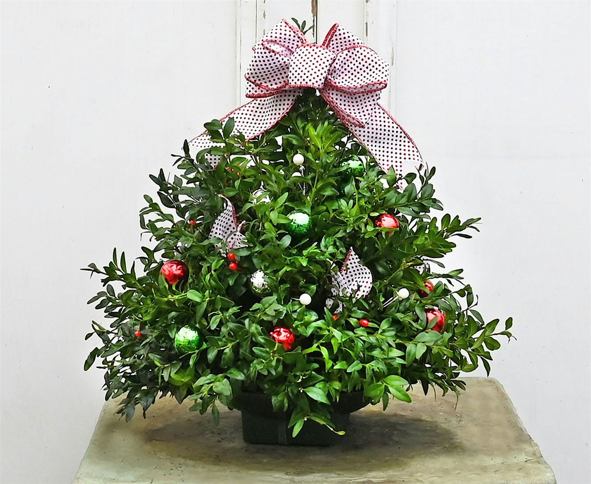 Boxwood Centerpiece Class