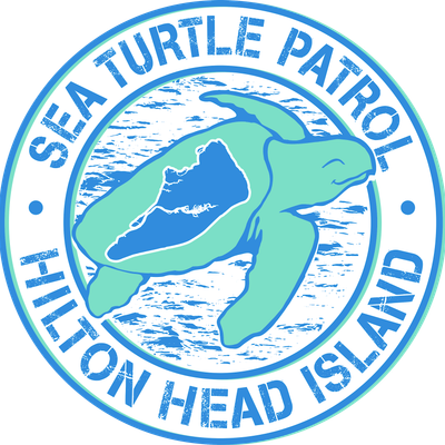 Sea Turtle Patrol, Hilton Head Island