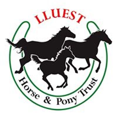 The Lluest Horse & Pony Trust