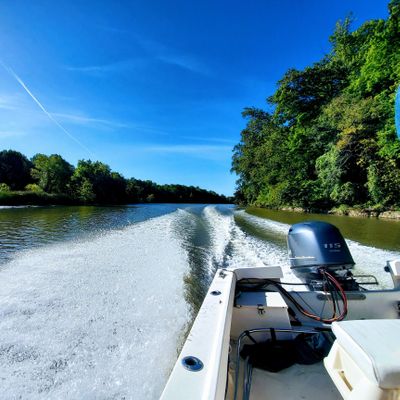 Anacostia Riverkeeper