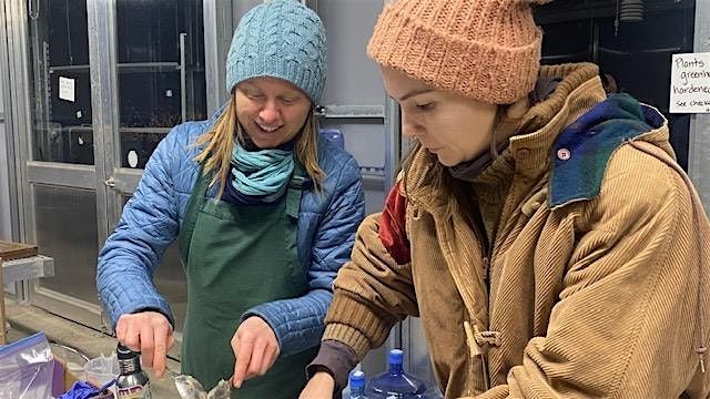 Herbal Inspired Simple Syrups