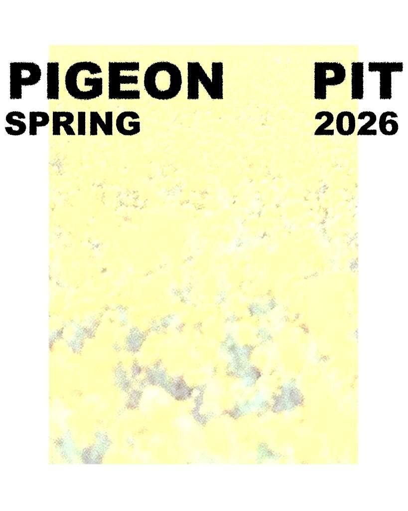 Pigeon Pit \/ Cheap Dirty Horse \/ Von Loop - Belfast