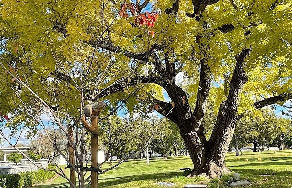 Winter Nature & History Walk @ Fairhaven Memorial Park