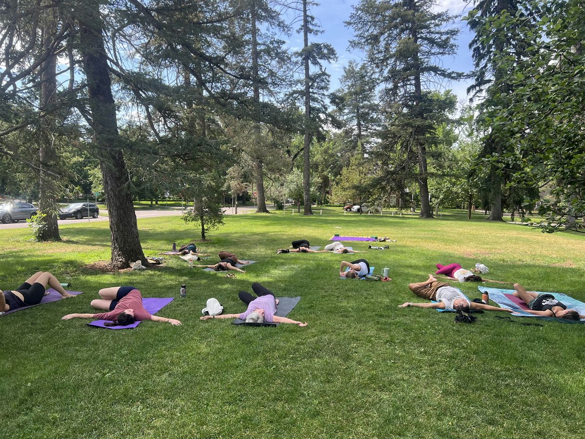 Lifeward Experience: Midday Park Yoga