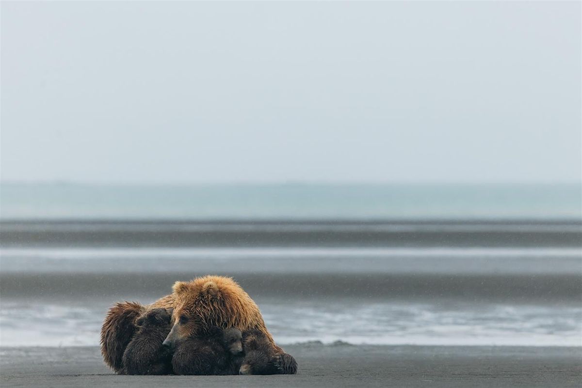 In Awe of Nature Contact Photography Festival