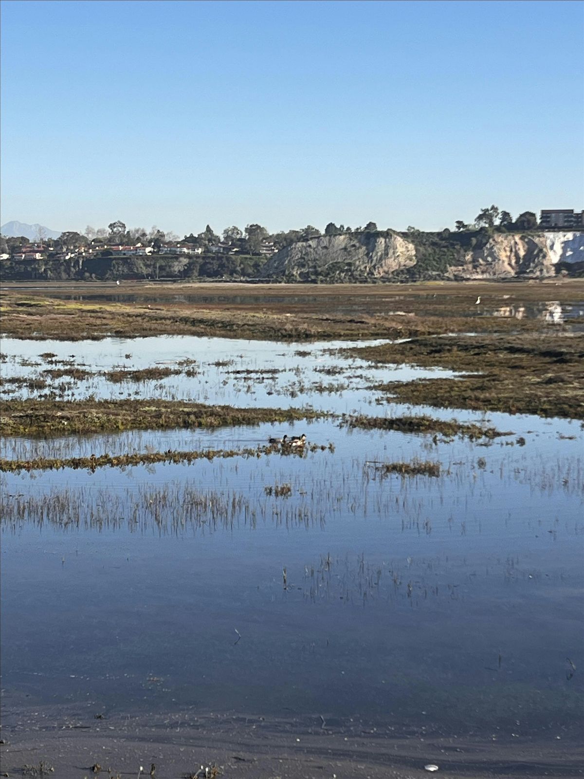 Native Species BioBlitz & Restoration Event - Newport Valley \/ Project Grow
