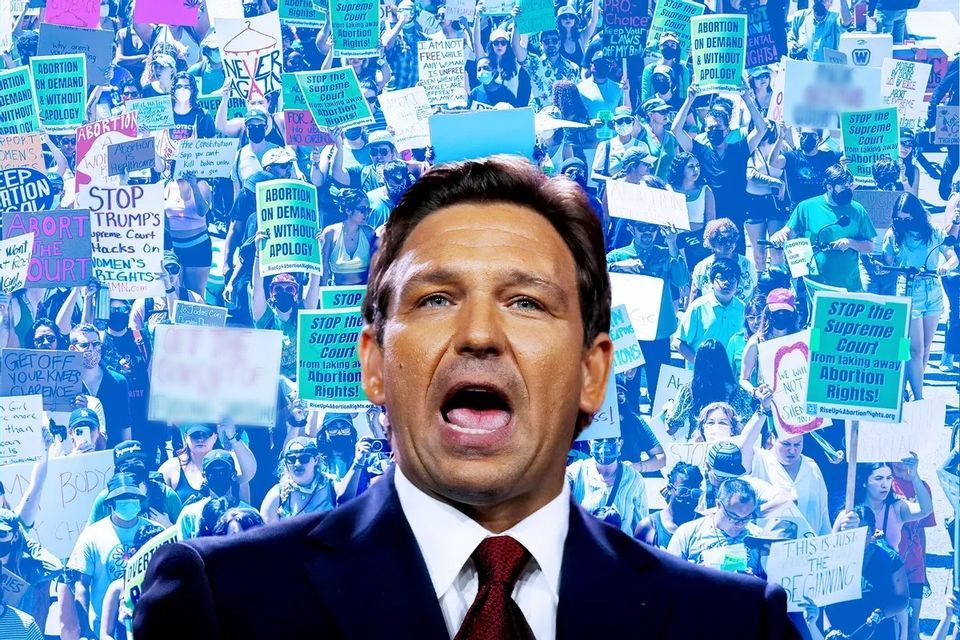 Protest DeSantis's Terrible Policies at TD Ballpark in Dunedin, FL. DeSantis scheduled to be there!