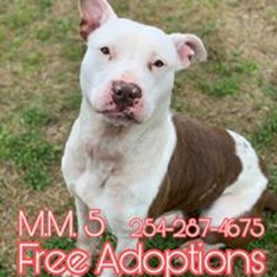 Fort Hood Shelter and Adoptions