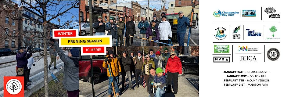 Madison Park Pruning
