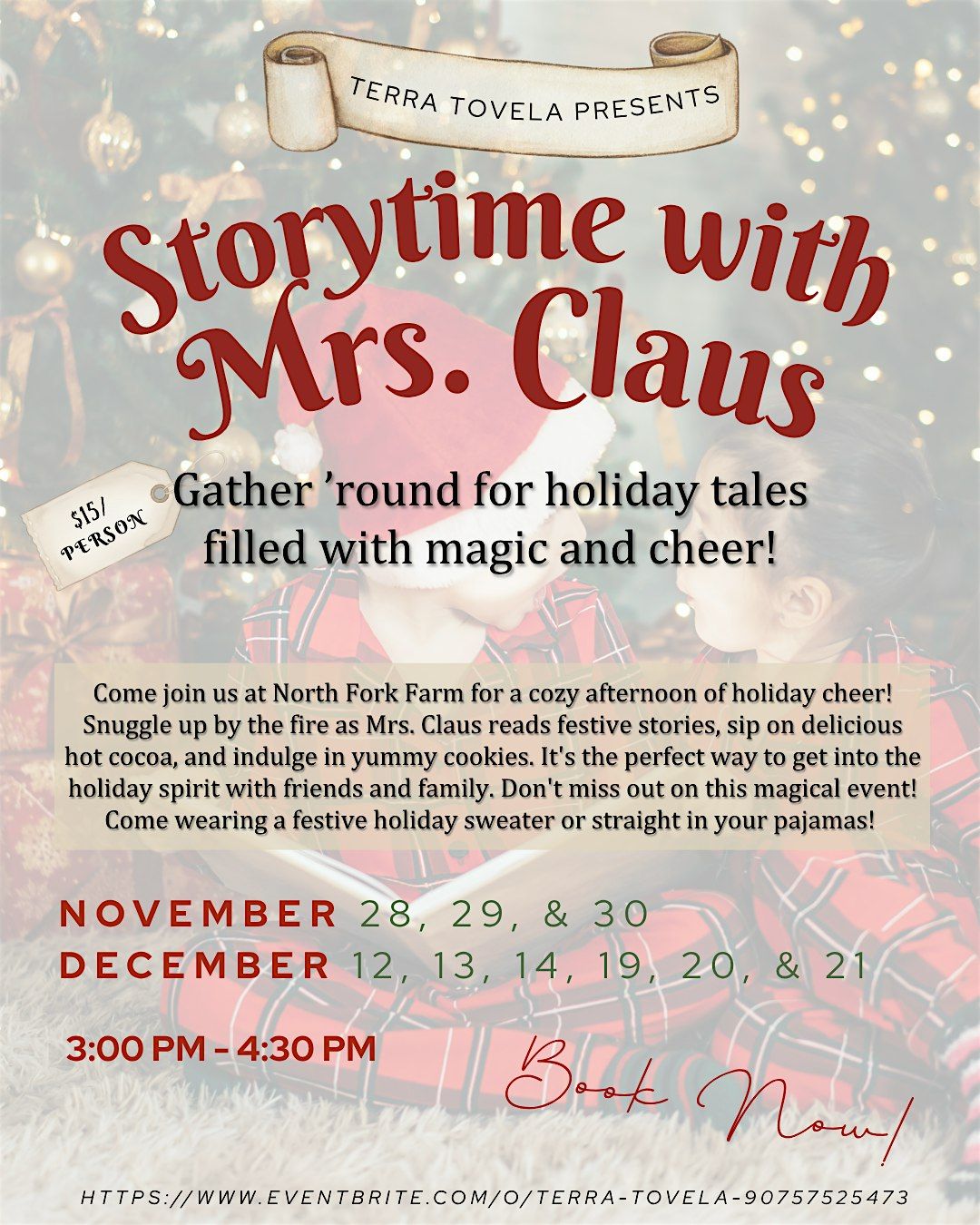 Holiday Storytime in the Mountains by the Fire with Hot Cocoa & Cookies!