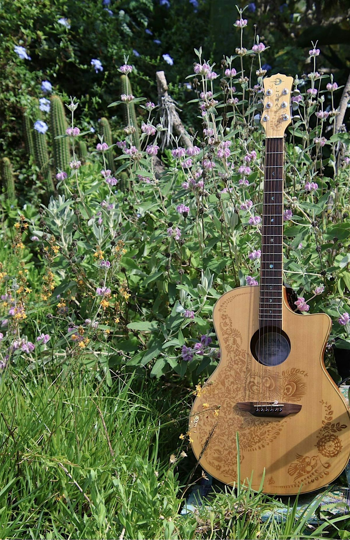 Avocado House Roots & Rhythm Concert Series in the Garden
