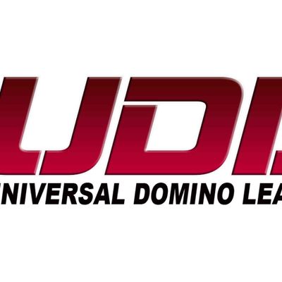 Universal Domino League