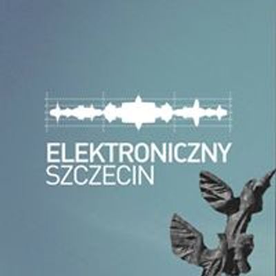 Elektroniczny Szczecin