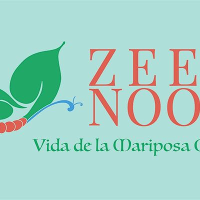 Zeenat Noorani- Vida de la Mariposa Coaching