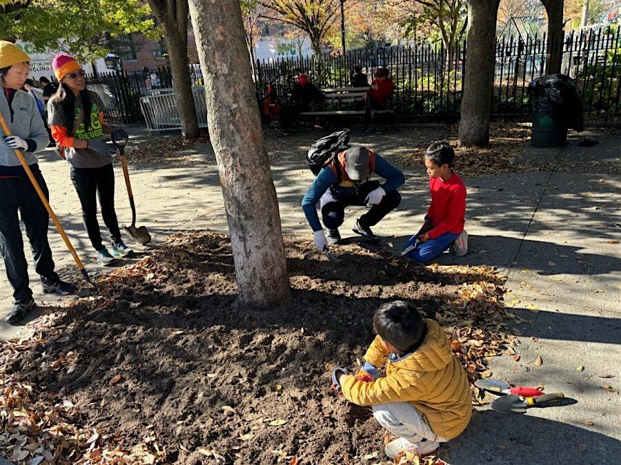 Fall 2025 Civic Sweep