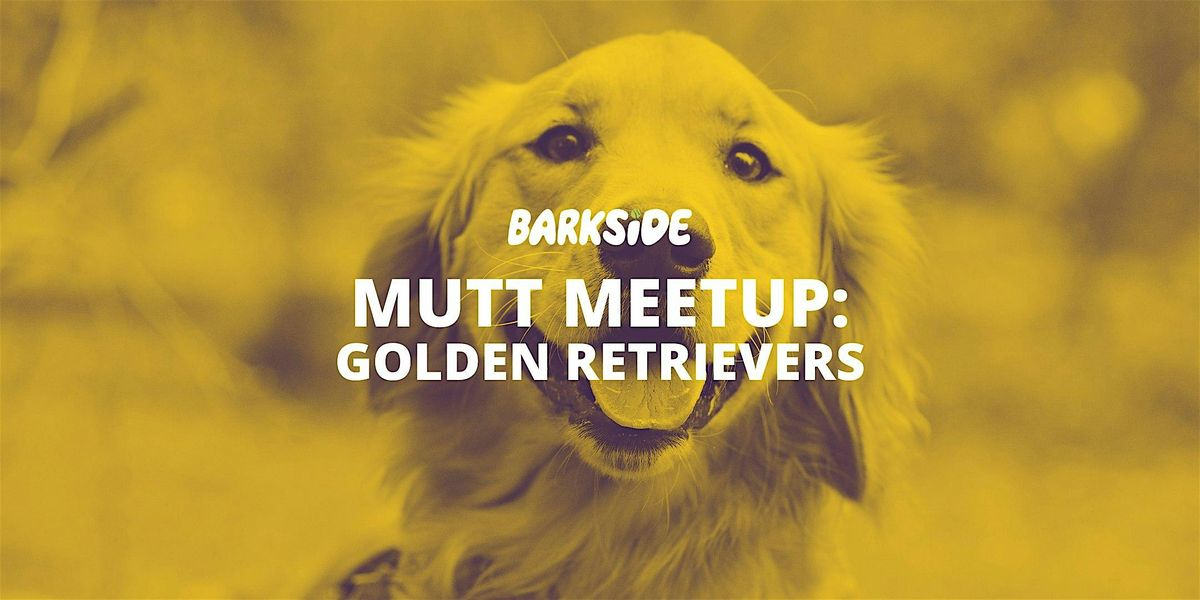 Mutt Meetup: Golden Retrievers