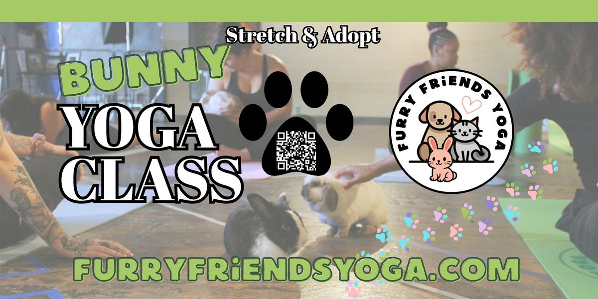 Bunny Yoga at Locals Marketplace