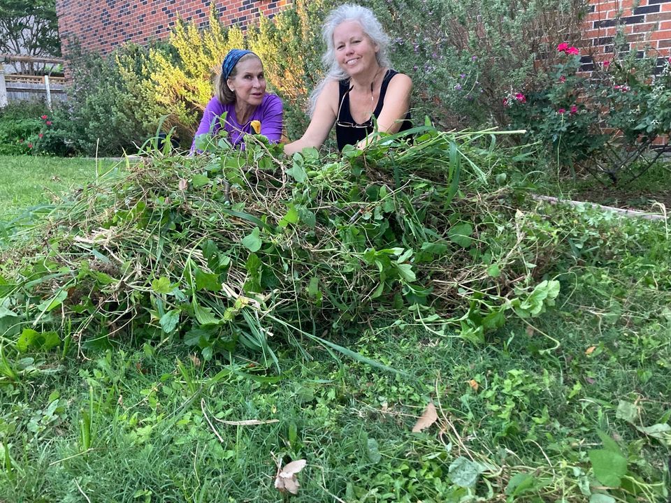 Morning Glory Pulling | St. John's United Methodist Church, Corpus Morning Glory Pulling | St. John's United Methodist Church, Corpus