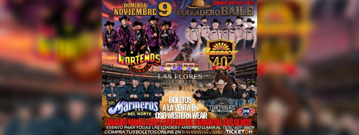 NORTE\u00d1OS DE OJINAGA, CONJUNTO AMANECER & MAS 