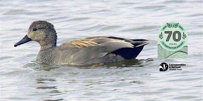 Wild Walk - Winter Wildfowl Walk at Cossington Meadows