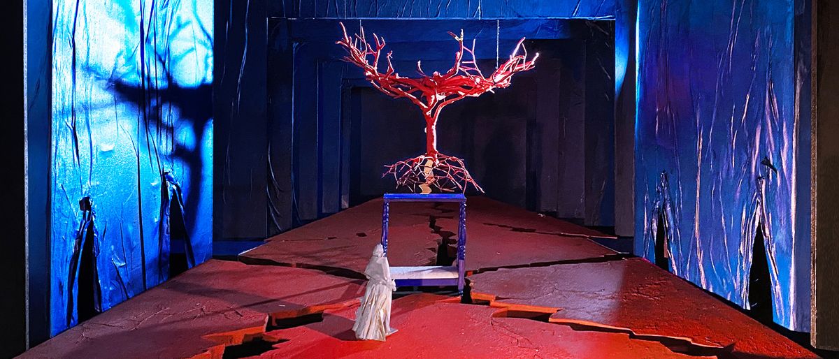 Metropolitan Opera - El Ultimo Sueno de Frida y Diego at Metropolitan Opera House