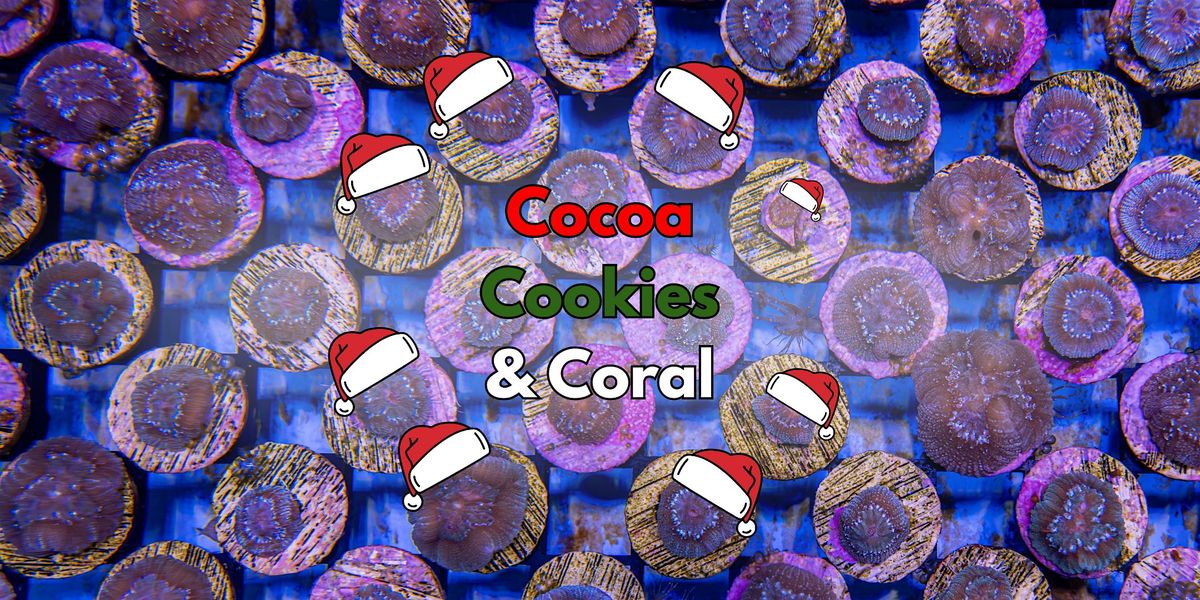 Cocoa, Cookies & Coral